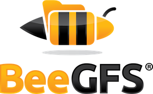 비GFS
