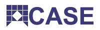CASE Piston